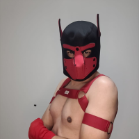 dudubiflexsp