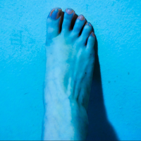 cyanpies
