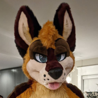 levisheppy