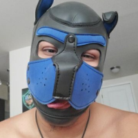 pupgaymerxxx