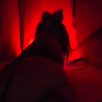 loira.pimenta